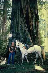 california horseback riding