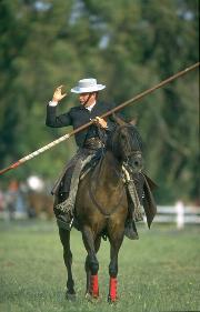 Jerez Horse Fair 2001