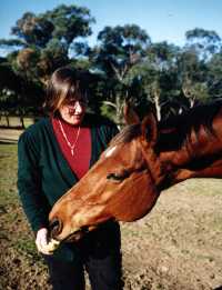 horse