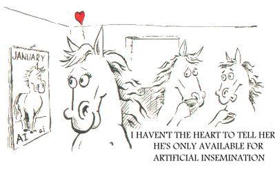 horse