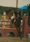 horse