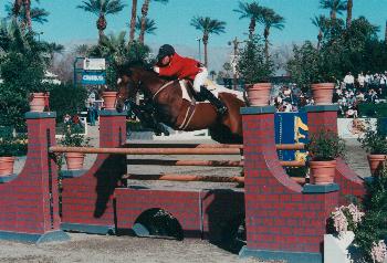 horse