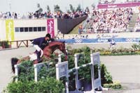 horse