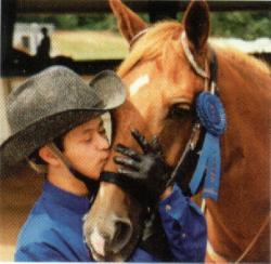 horse