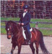 horse