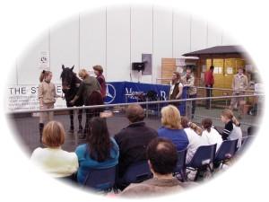 horse