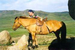 horse