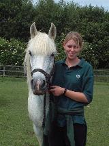 horse