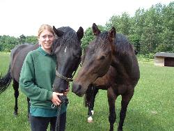 horse