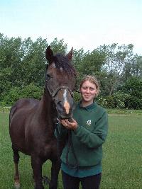 horse