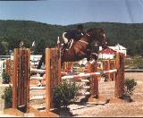 horse