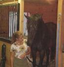 horse