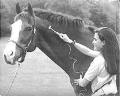 horse