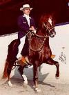 horse
