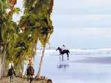 horse