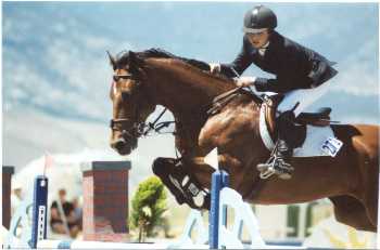 horse
