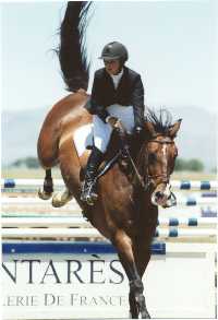 horse