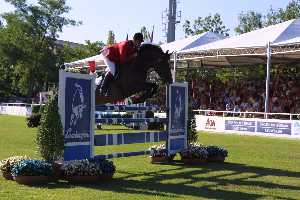 horse