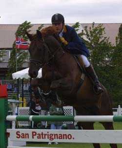 horse