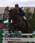 horse