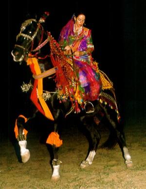 horse