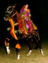 horse