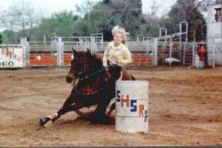 horse