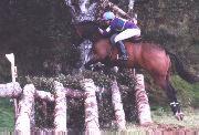 horse