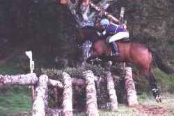 horse
