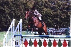 horse