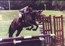 horse