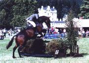 horse