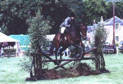 horse