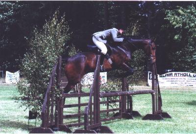 horse