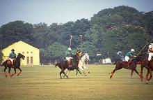 Polo in India