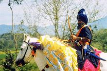 Traditional Sikh