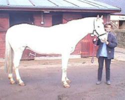 Equiworld's own Vikki Kind and Phantom.