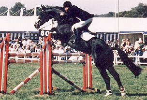 horse
