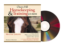 horse