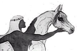 horse