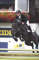 horse