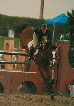 horse