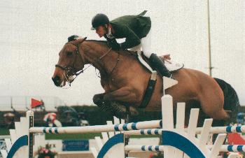 horse