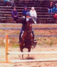horse