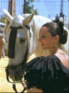 horse