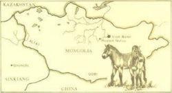 horse