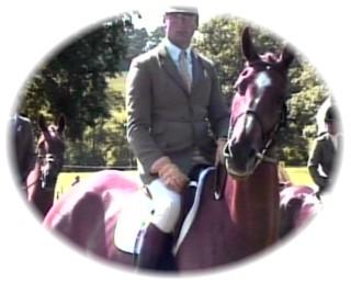 horse
