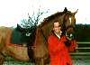 horse