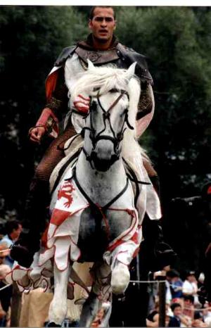 horse
