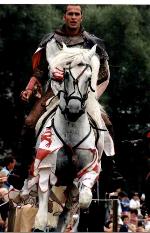 horse